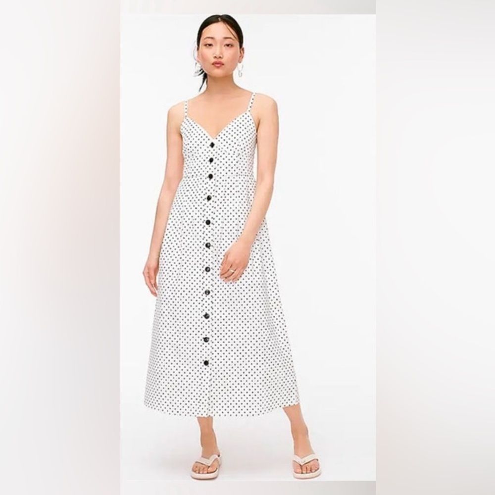 J.Crew Polka Dot Dress